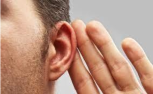 Captura de Tela 2026 01 23 as 13.21.59 300x184 - Captura de Tela 2026-01-23 às 13.21.59